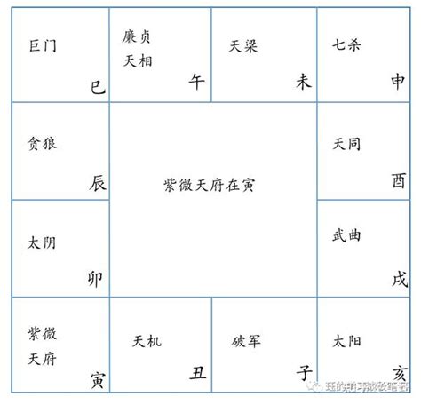 紫微斗數 身體部位|【紫微鬥數 身體部位】紫微鬥數幫你找身體弱點！從。